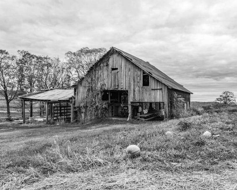 迷你倉：現代存儲解決方案的權威指南